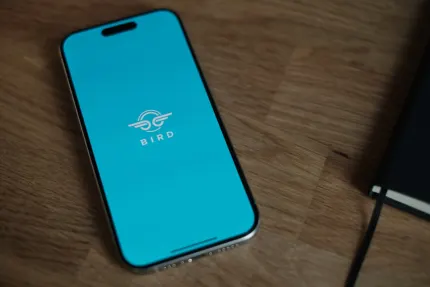 슬링고 카지노 모바일 앱